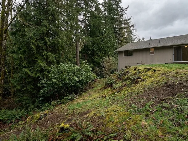 Bare backyard slope before, example